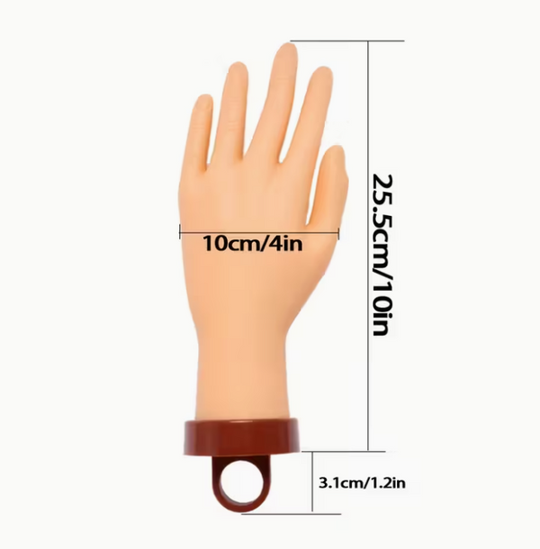 Practice Hand Model with a Small Desktop Stand