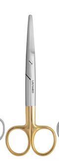 Mayo Scissors (Straight)