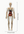31-In-1 Transparent Mannequin with Removable Bones and Organs