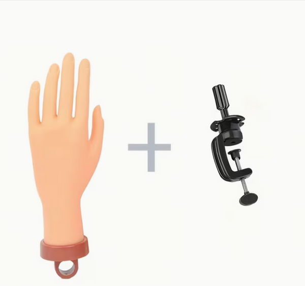 Practice Hand Model with a Small Desktop Stand