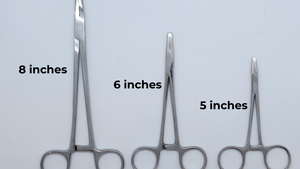 A set of stainless steel Mayo-Hegar needle holders in varying sizes, with serrated teeth, displayed on a white background.