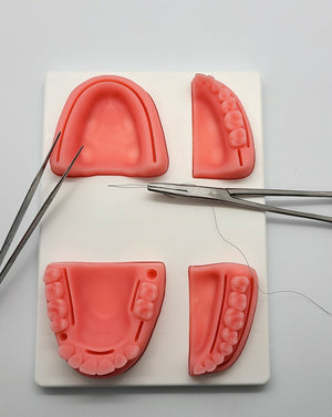 The Suture Buddy Dental Suture Pad
