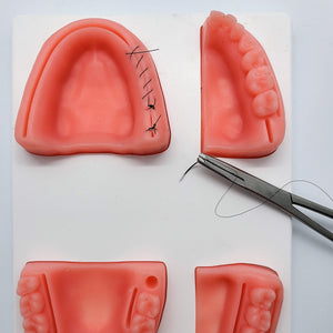The Suture Buddy Dental Suture Kit