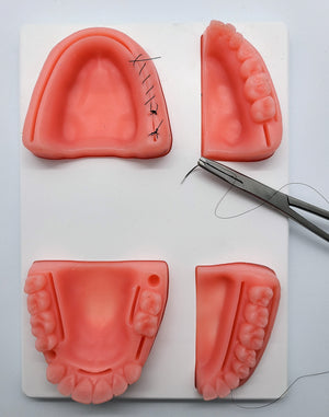 The Suture Buddy Dental Suture Pad