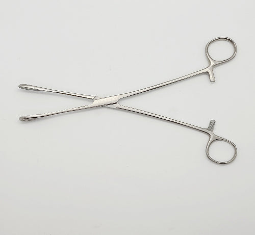 A straight, serrated sponge forceps with a ring, ratcheted grip. The forceps are made of stainless steel.